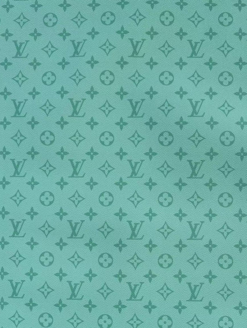 Light Green Louis Vuitton Leather Sheet Designer Fabric for Crafts DIY Hobbylobby