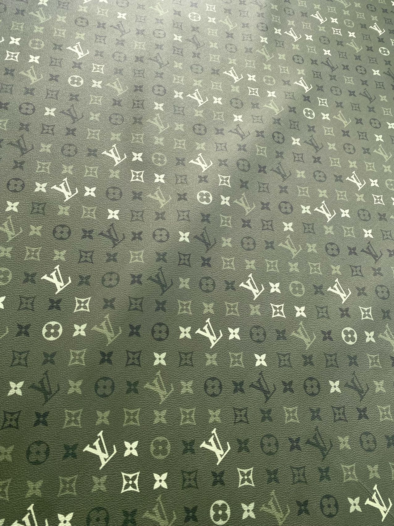 Green Camouflage Louis Vuitton Designer Shoe Leather Car Wrap