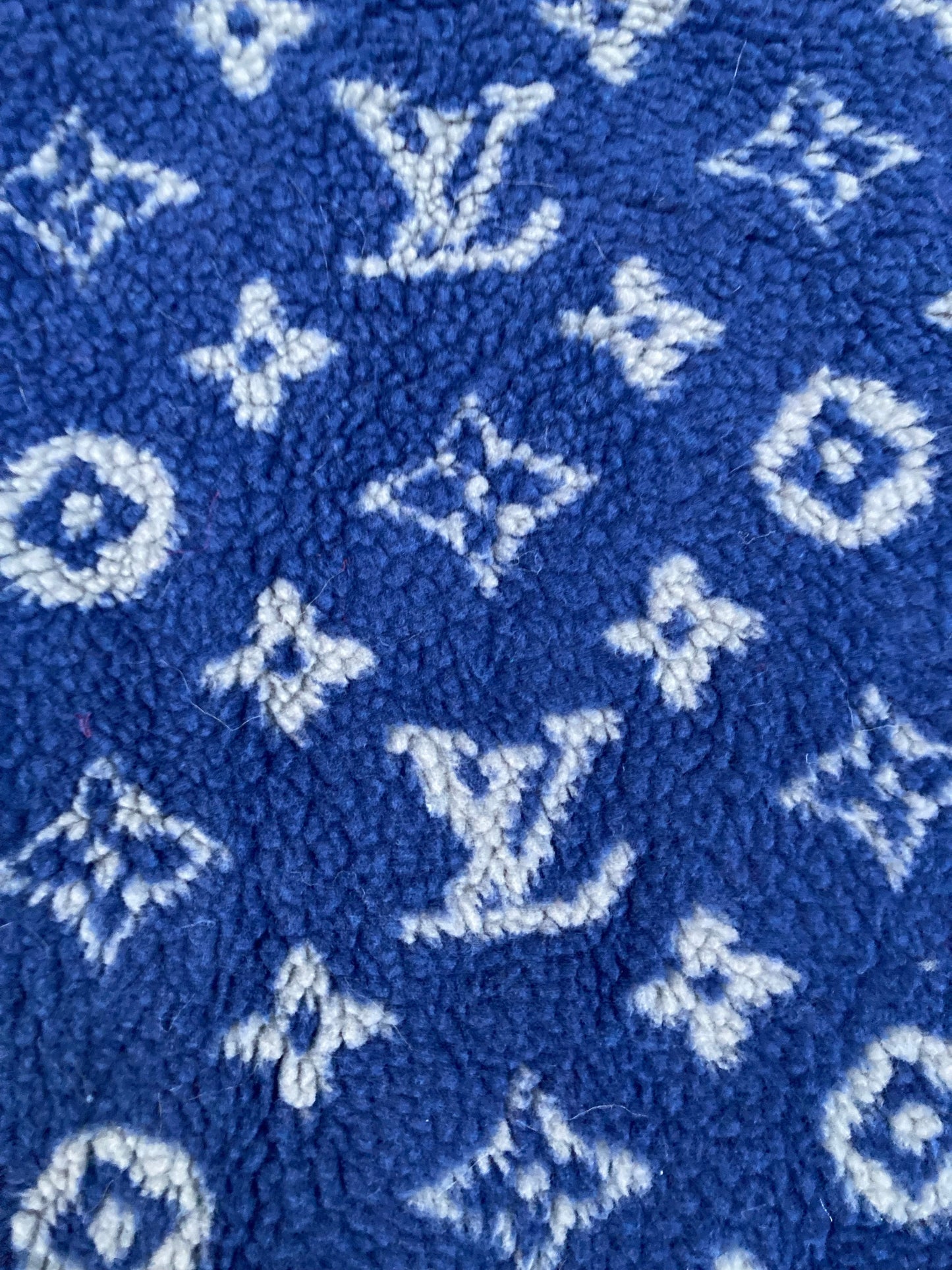 Blue Furry Cozy LV Teddy Flannel Fleece Fabric